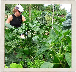 gardening