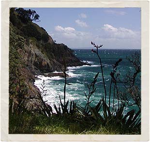 island